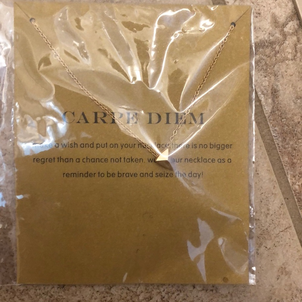 Carpe Diem Necklace Brand New